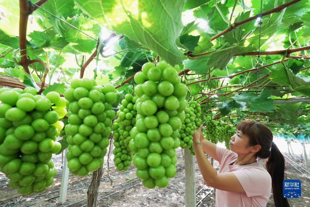 可试玩的游戏